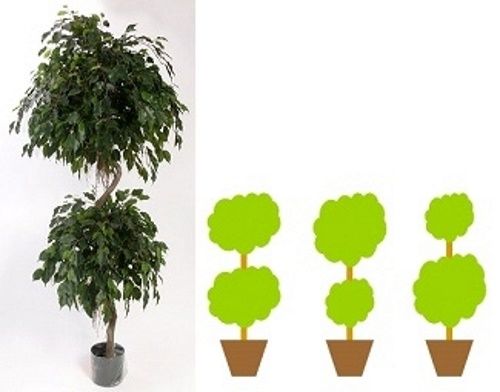 двох'ярусний штамб