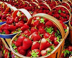 прекрасний урожай фото