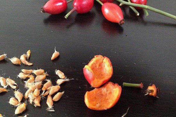 розрізати ягоди і видалити насіння