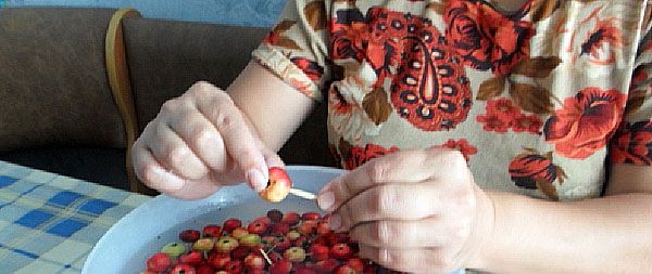 маленькі яблучка наколоти зубочисткою