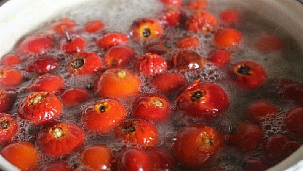 відварити шипшина