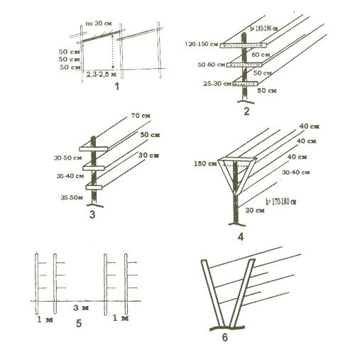 Варіанти конструкцій шпалер під виноград