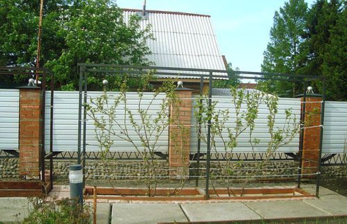 Невелика дворядна шпалера