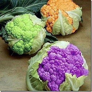 різнобарвна кольорова капуста