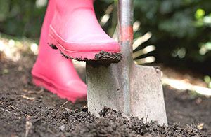 підготовка грядки