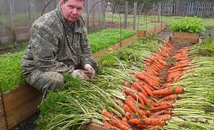 хороший урожай моркви
