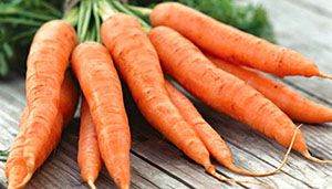 Кращі сорти моркви