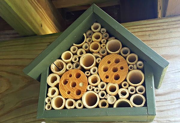 будиночок для диких бджіл