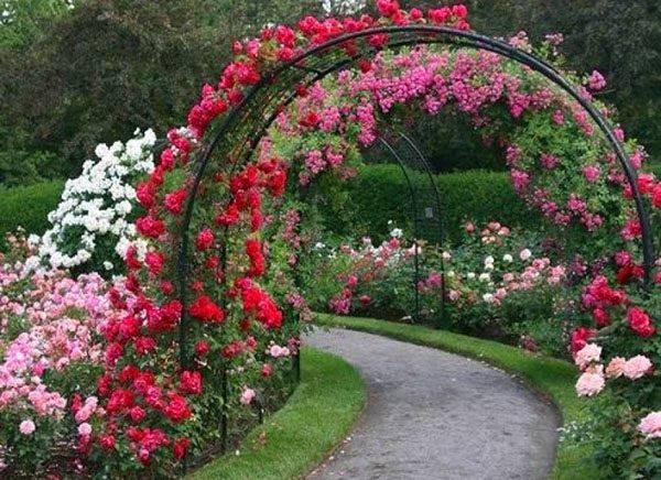 арка садові