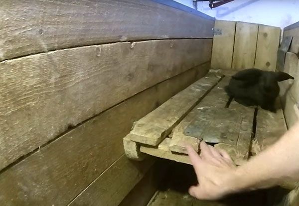 дерев'яний вольєр для кроликів