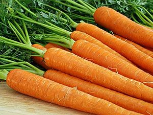 Багата вітамінами морква