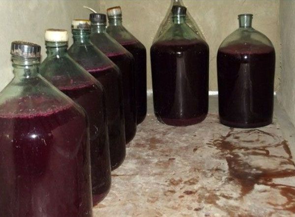 процес витримки вина