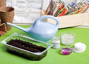 Яку розсаду садять в лютому дачники Уралу і Підмосков'я