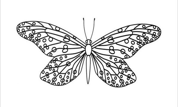 метелик з розмахом крил