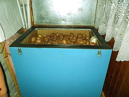 Картопля в ящику на балконі