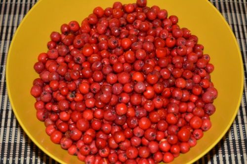 ягоди горобини