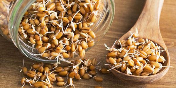 норма споживання пророщеної пшениці