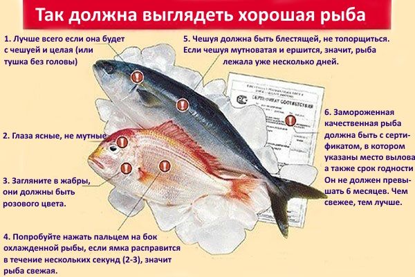 правила відбору риби для засолювання