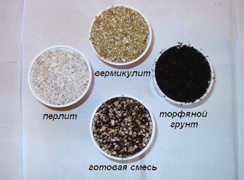 Складові поживної суміші для ахіменес