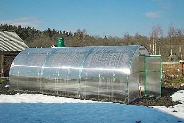 роботи в теплиці