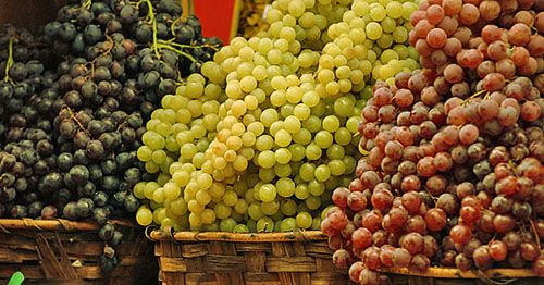 Кращі сорти винограду на ринку