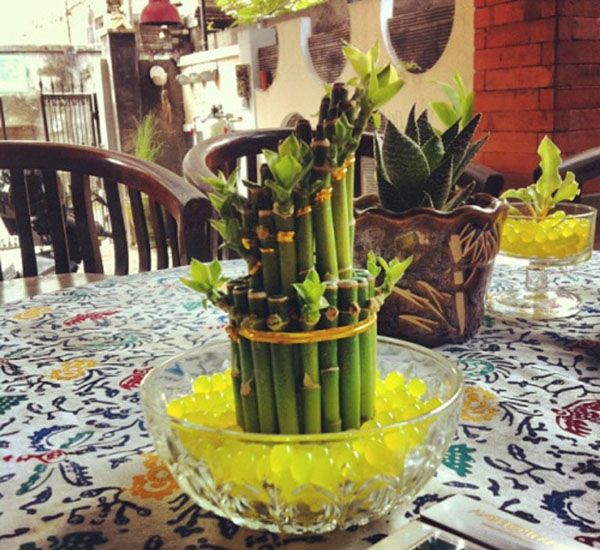 щільний гідрогель