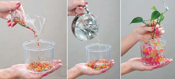 підготовка гідрогелю до посадки рослини