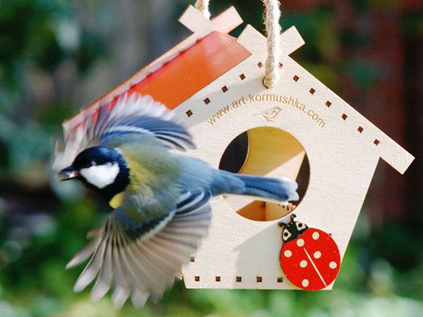 красива годівниця в саду для птахів