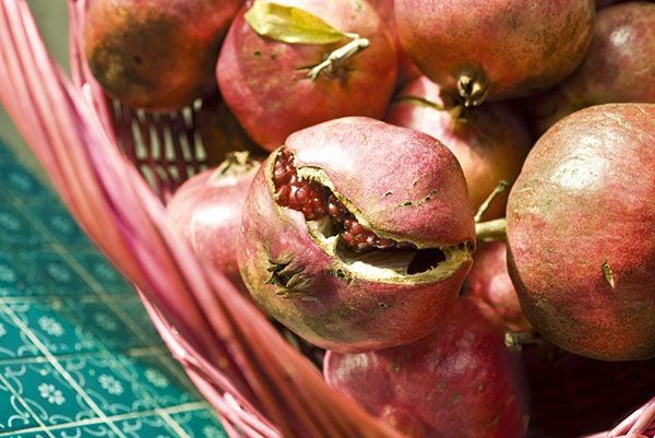 збір врожаю граната