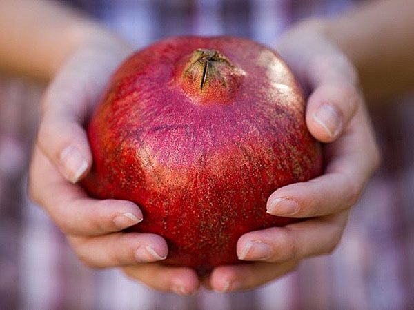 щільний пружний плід