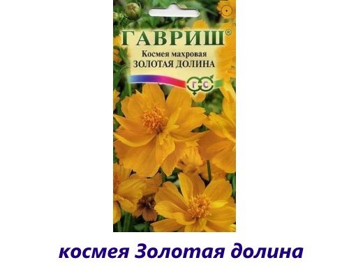 золота долина