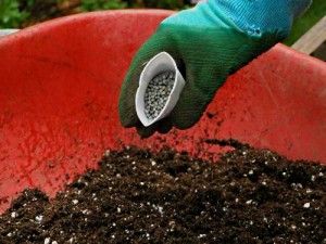 підготовка грунту