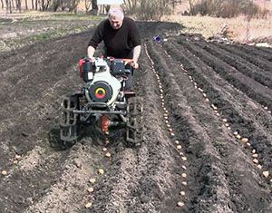 Посадка картоплі за допомогою садової техніки
