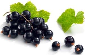 ягода чорної смородини