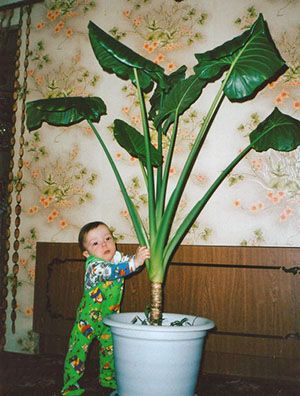 Не можна допускати подібну ситуацію