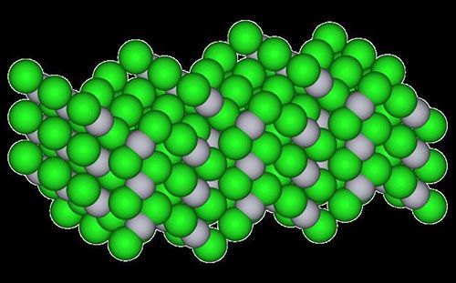 У листі алоказии міститься сулема, дихлорид ртуті