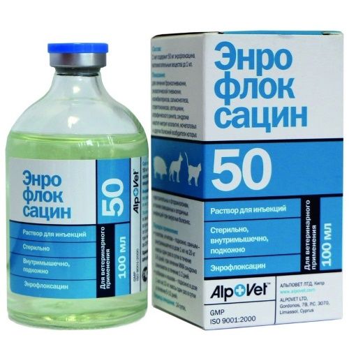 Аналоги енрофлоксацин в ветеринарії, опис препарату, відео