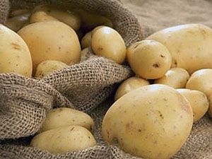 Чисто не заражений картопля