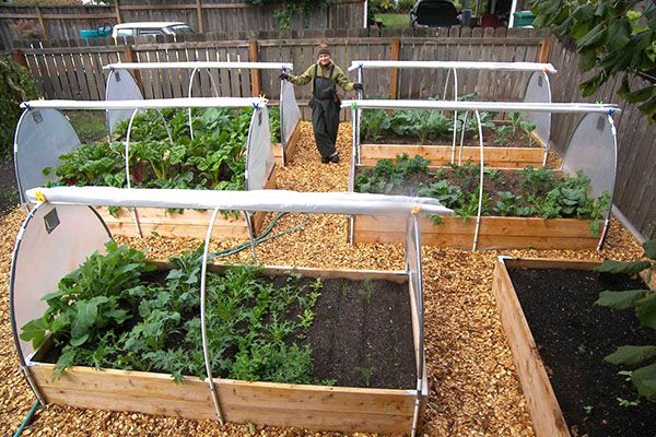 маленькі грядки-теплиці