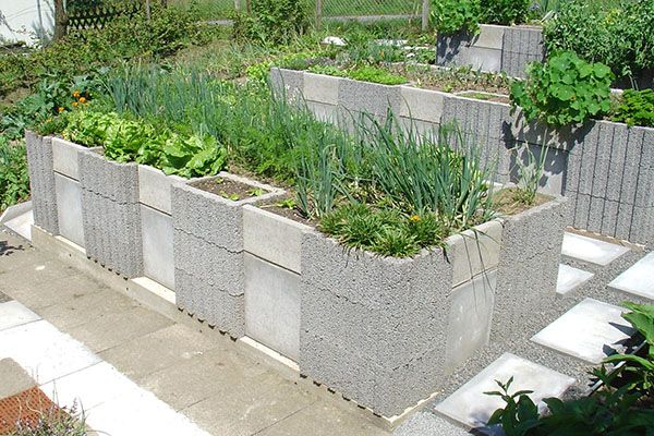 грядки в низинах місцях