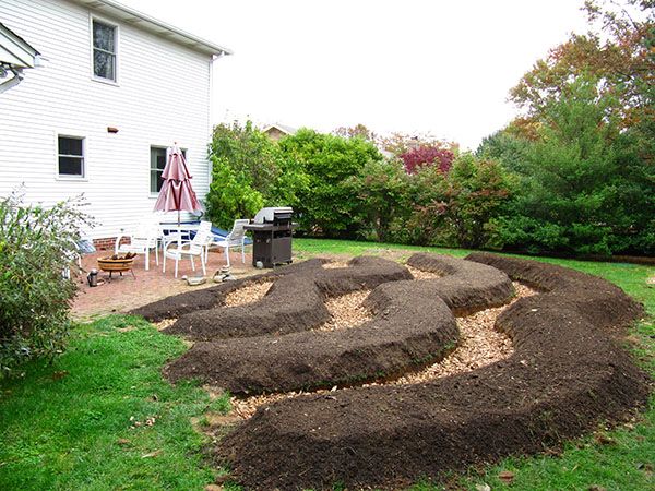 насипні грядки незвичайної форми