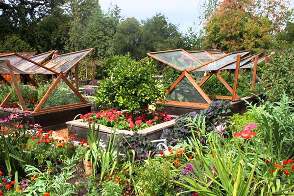 укривние грядки