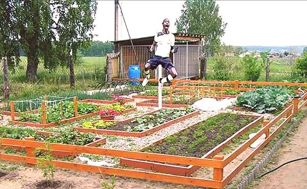 функціональні зони дачної ділянки