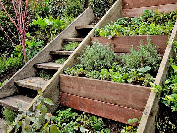 строго горизонтальні грядки на схилі