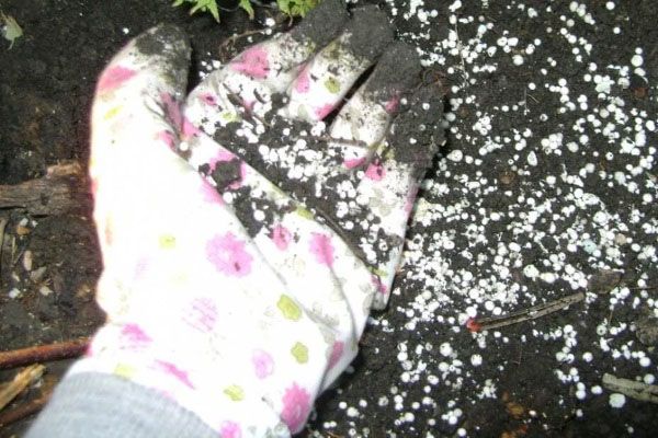 внесення добрив