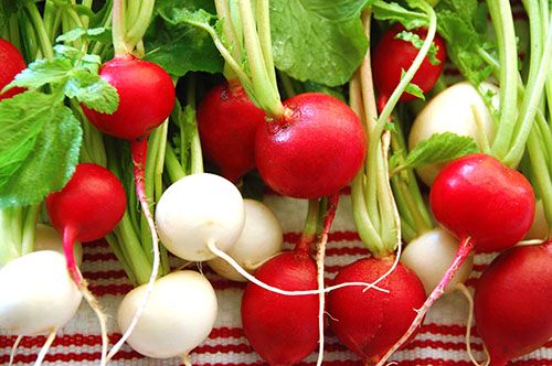 Вітамінний коренеплід можна вживати не всім