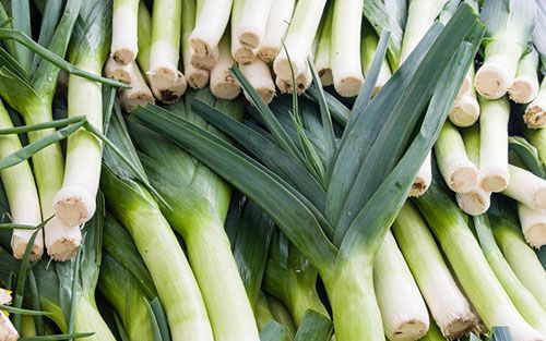 урожай цибулі-порею