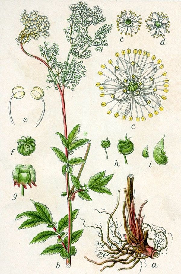 будова комірника