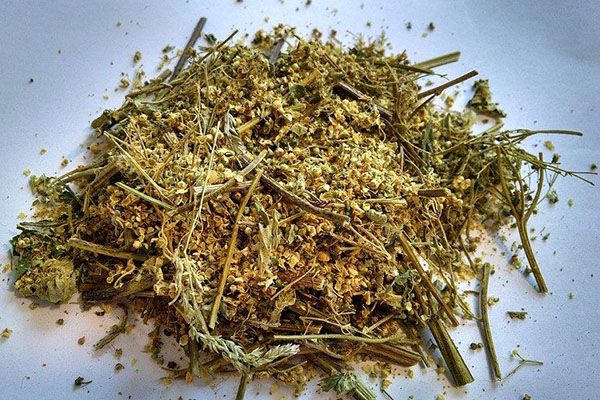 сухий комірник