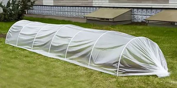 плівковий парник тонель